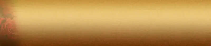 奢华玫瑰气质女包背景banner