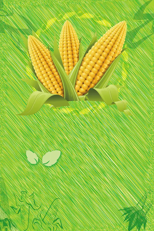 新鲜玉米海报背景