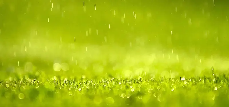 下雨的草地