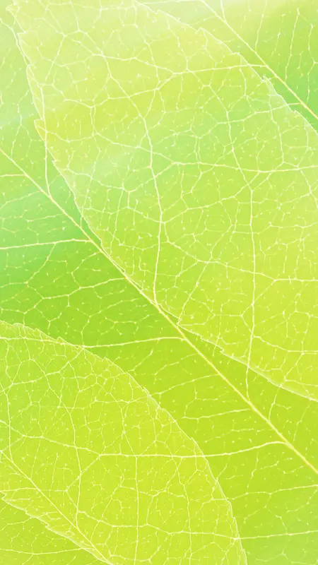 春季嫩绿色叶子纹理H5背景素材