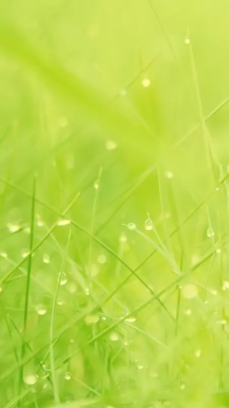 清新绿色水滴H5背景