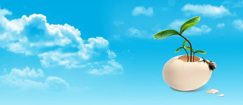 创意清新蓝天白云鸡蛋壳种子背景banner