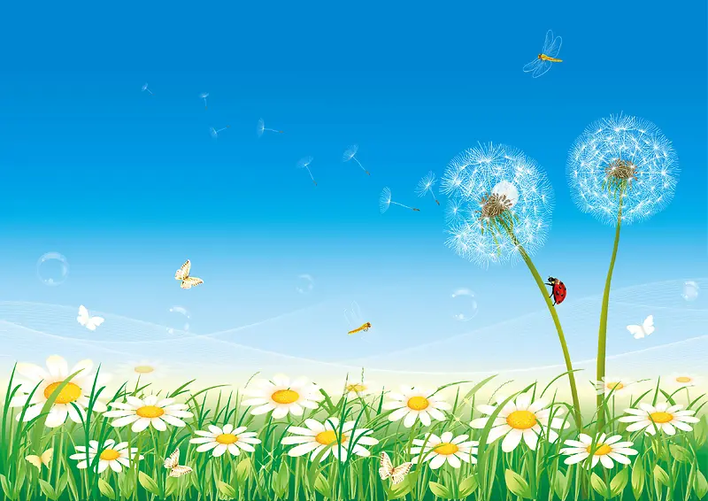 春暖花开蓝天白云蒲公英