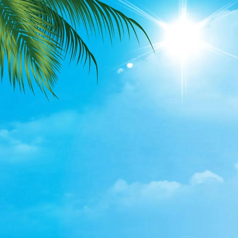 清新夏日蓝天棕榈叶背景主图