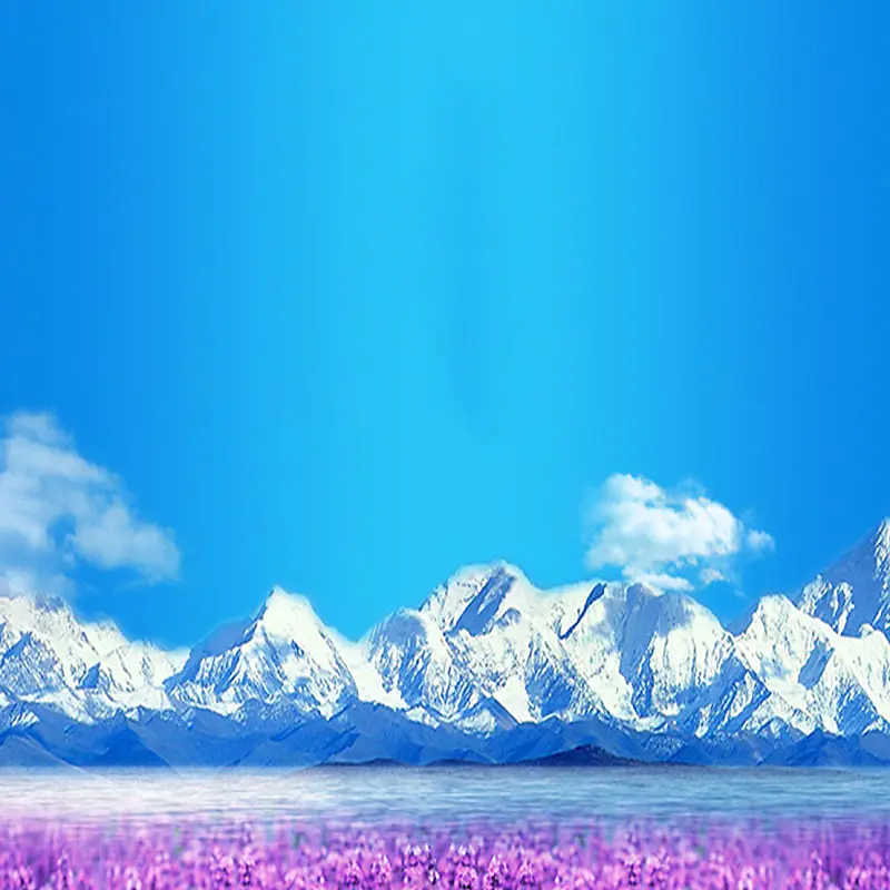 雪山紫色薰衣草背景