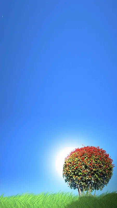 草地大树天空H5背景