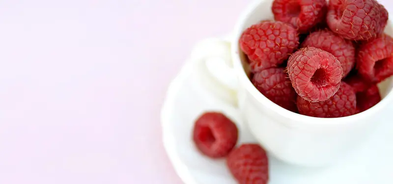美食树莓蔓越莓瓷杯