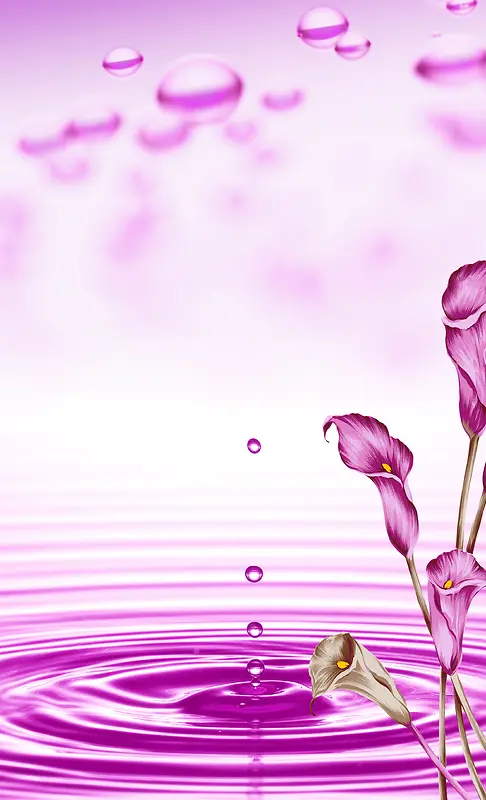 紫色康乃馨美容瑜伽意境背景