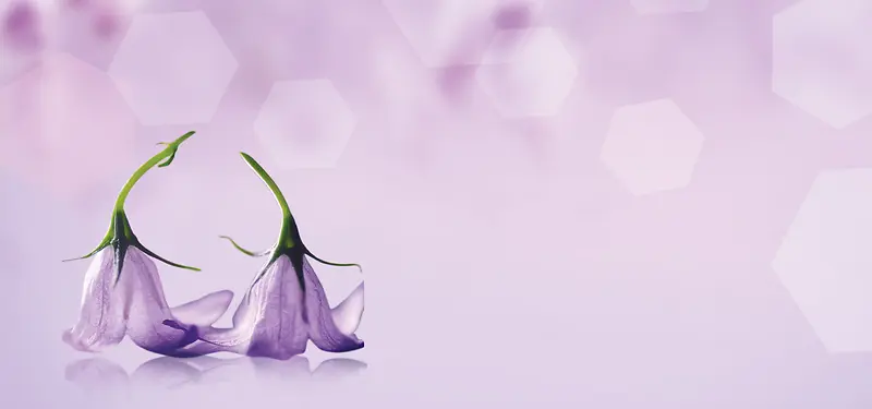 紫色梦幻花朵背景