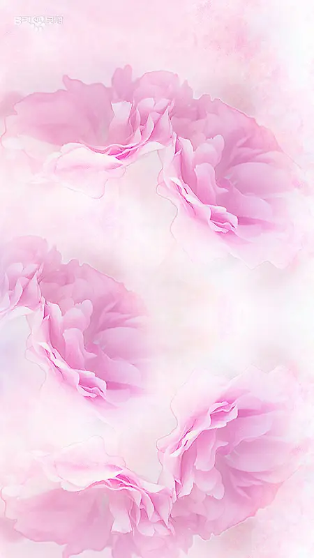 粉红花卉H5背景
