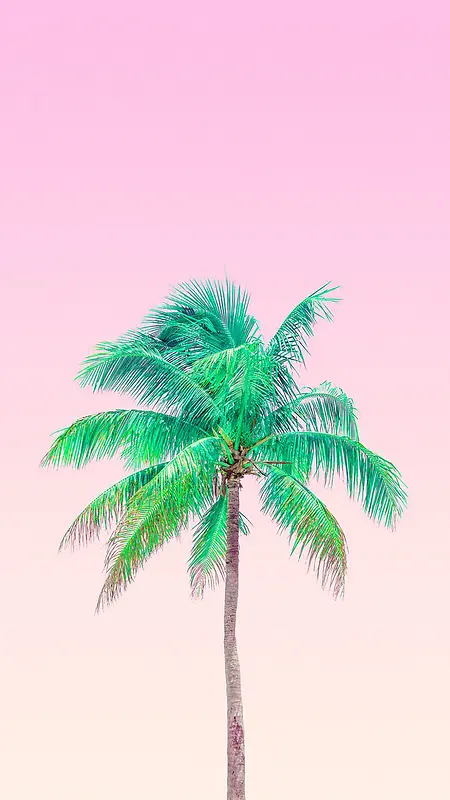 粉色简约棕榈树背景图