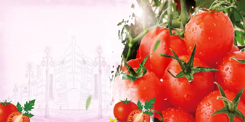 西红柿番茄蔬菜广告海报背景素材