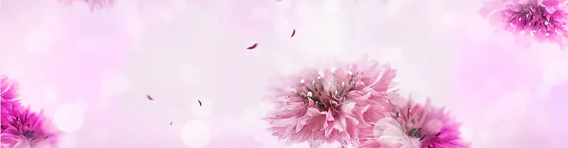 浪漫梦幻浅紫色花卉背景