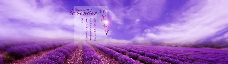 薰衣草紫色浪漫背景图