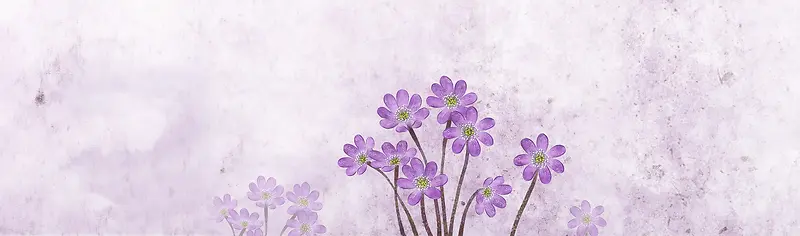 春天文艺手绘小花渲染紫banner