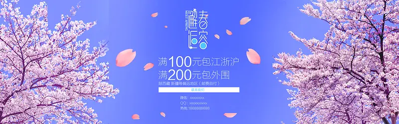 浪漫樱花道背景