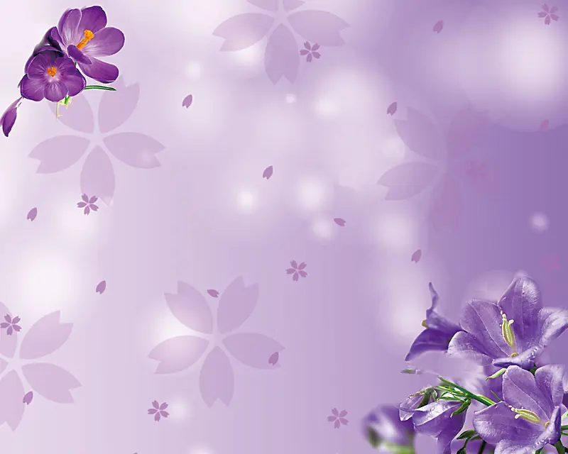 紫色花朵纹案背景