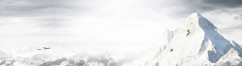 海报背景图