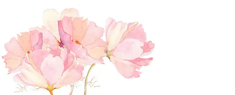 手绘粉色日系清新文艺淡色花朵背景