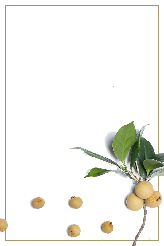 简约水果美味桂圆
