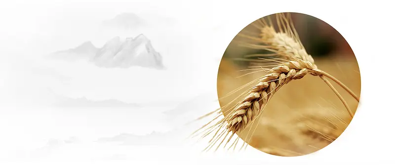 秋季简约白色banner