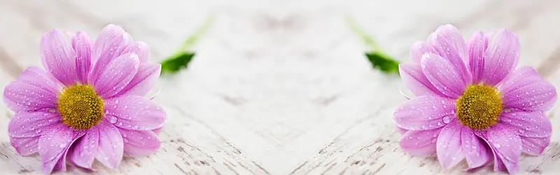 可爱花朵淘宝海报