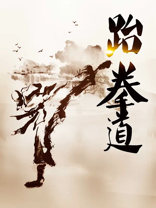 中国风跆拳道培训教育海报