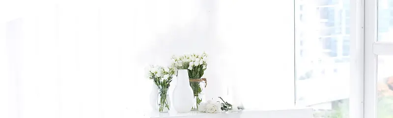白色植物春日房间背景