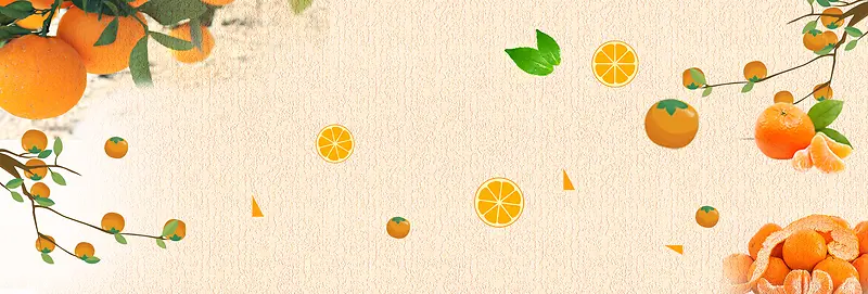 橘色美味水果食品柑橘banner