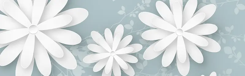 微立体白色花瓣背景banner