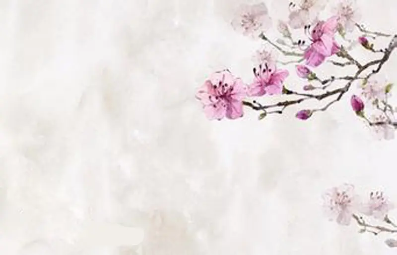 中国风手绘花卉海报背景素材
