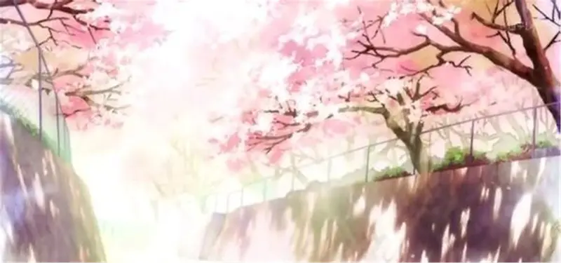 樱花树背景