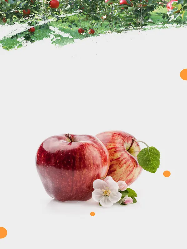 小清新绿色营养苹果水果海报背景素材