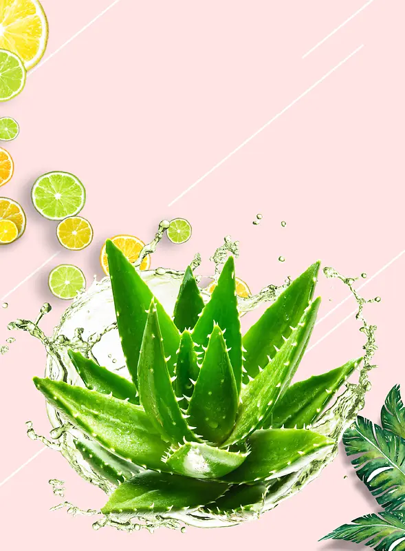 简约创意商务广告芦荟水珠背景素材