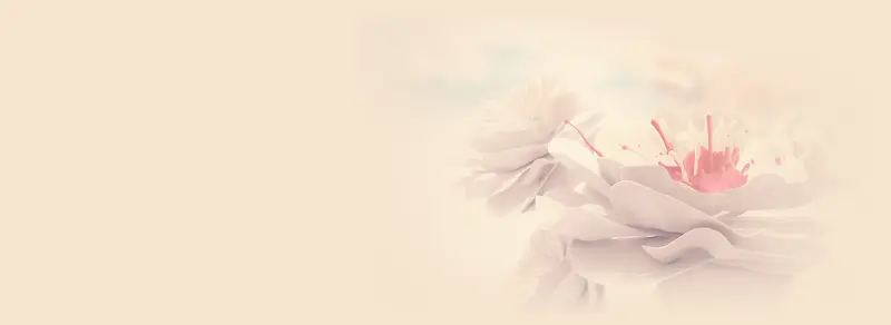 唯美小清新花蕊纸艺背景