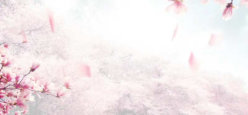 粉色桃花节花瓣背景素材