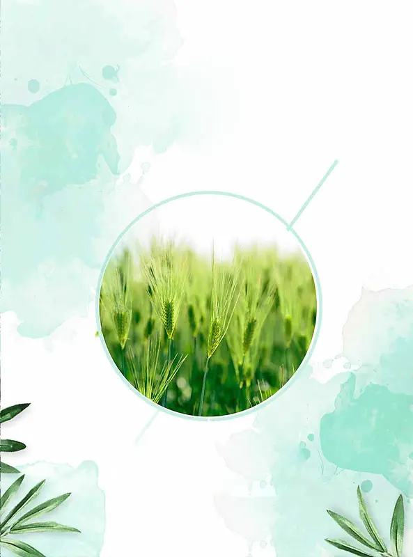 夏至风景季节美图
