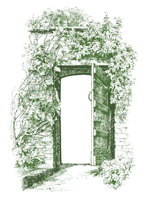 墨绿色手绘缠着藤曼的门扉背景图