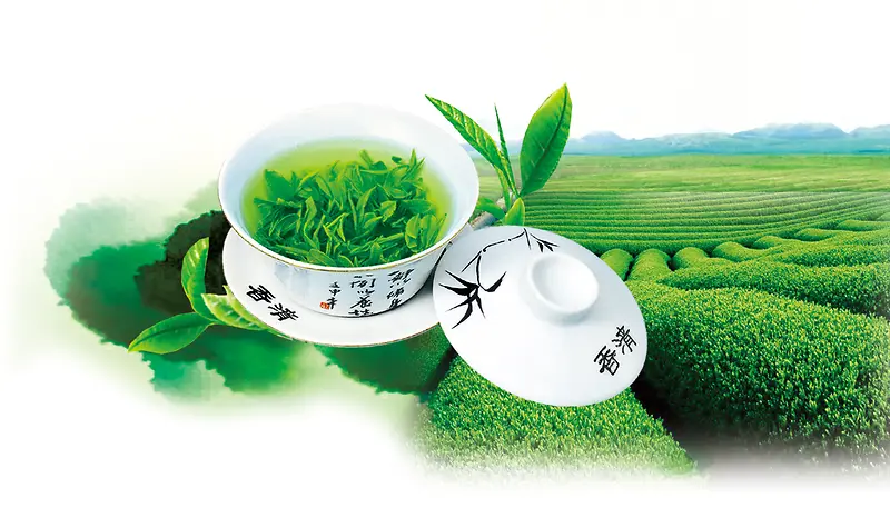 茶田绿茶清新饮品海报背景素材