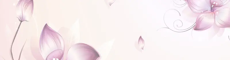 莲花banner背景图
