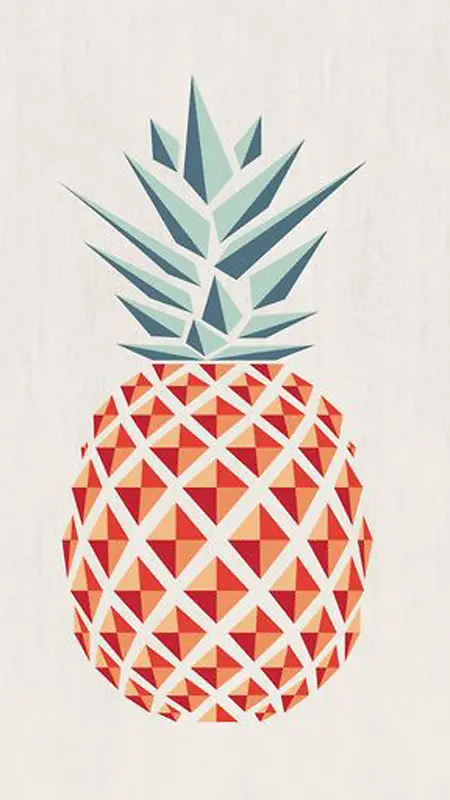 三角几何元素菠萝图
