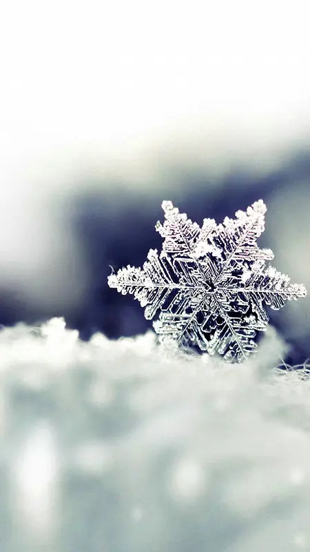 雪花雪结晶背景