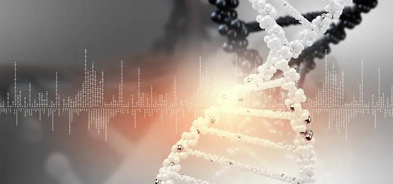 基因数据转基因科技灰色海报背景