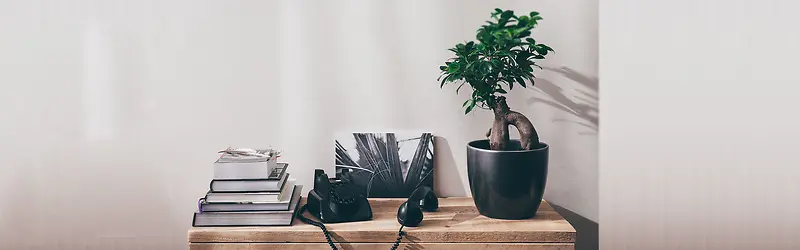 书桌植物电话背景
