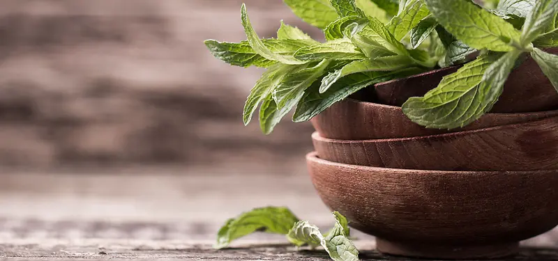 薄荷木碗背景图