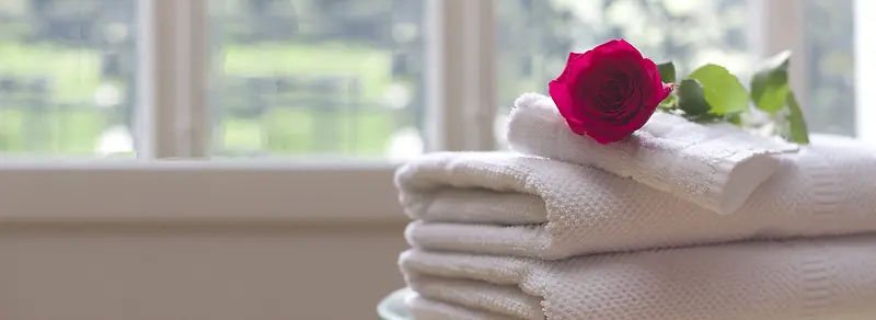 室内毛巾和红玫瑰