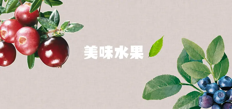 美食 蓝莓石榴水果banner背景