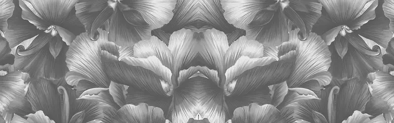 黑白质感花朵海报背景
