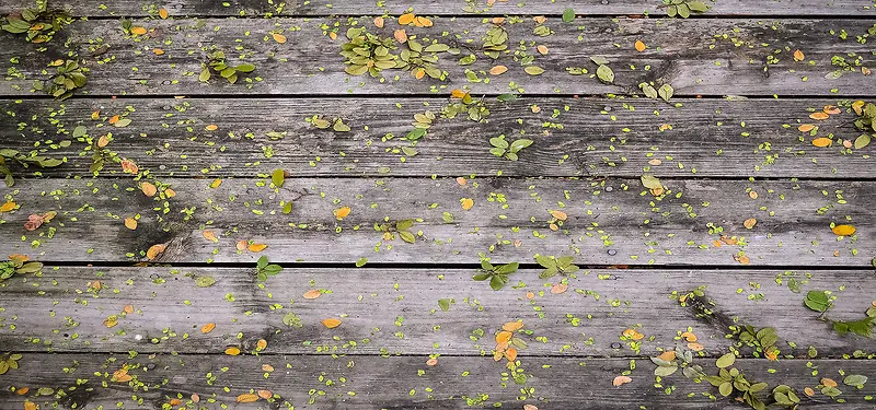 彩色叶子木板背景