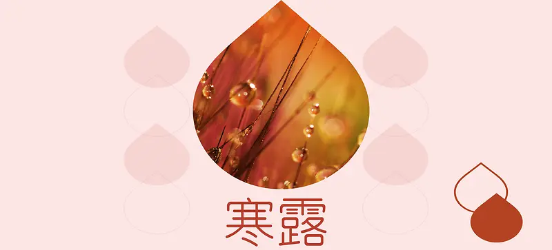 寒露二十四节气露水简约粉色banner